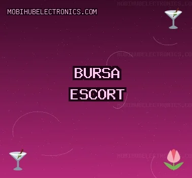 Bursa Escort: İnegöl Escort, Orhangazi Escort, Karacabey Escort